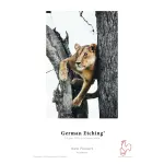 Hahnemühle German Etching 310 gsm A3+ (329x483mm) 25 Blatt