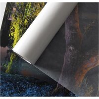 Canson Infinity Cristal Kristallpapier 40gsm, 0,60x0,80m,...