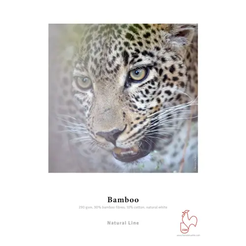 Hahnemühle Bamboo 290 gsm DIN A4 (210x297mm) 25 Blatt