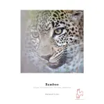 Hahnemühle Bamboo 290 gsm DIN A4 (210x297mm) 25 Blatt