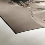 Hahnemühle Photo Rag 308 gsm DIN A4 (210x297mm) 25...