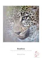 Hahnemühle Bamboo 290 gsm