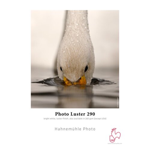 Hahnemühle Photo Luster 290 gsm