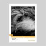 Innova RC Photo Metallic Lustre 260 gsm