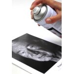Hahnemühle Protective Spray DE-EN-FR-NL 400ml